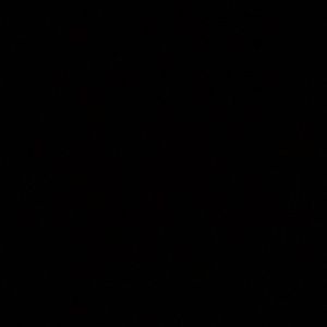 Meet your Posher, George